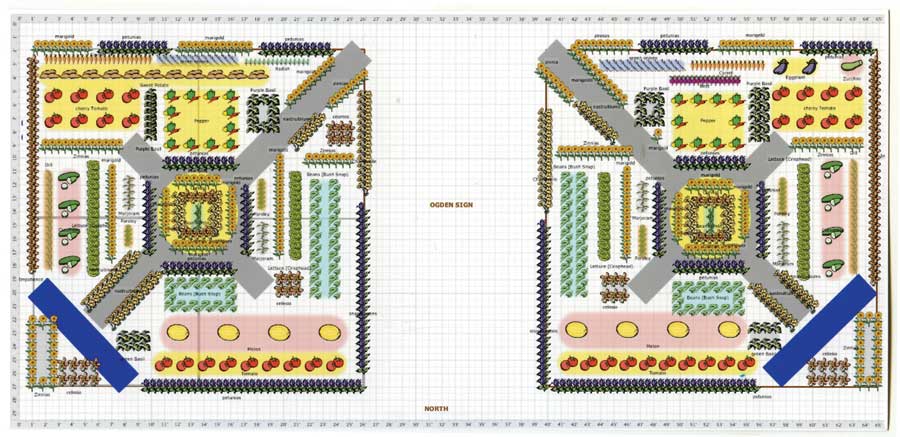
Our Garden Planner will help you to decide where to plant which crops.
